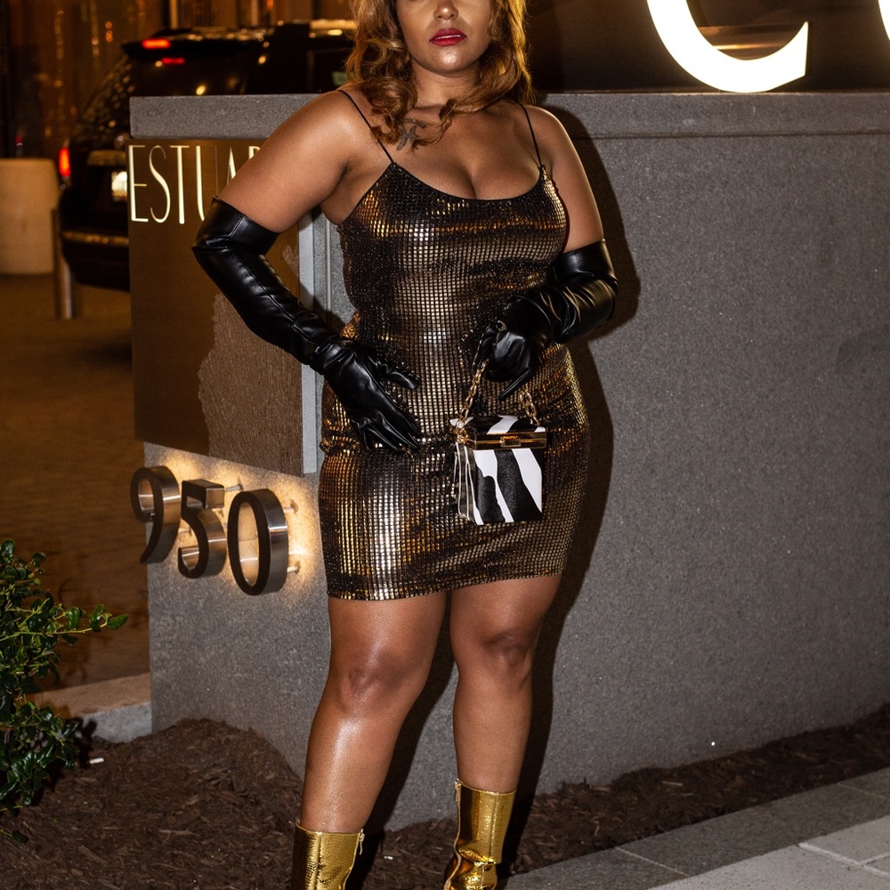 Renaissance Mini Dress 🥳